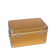 Hot Sale Large Golden Aluminium Flight Case With Big Handle For army