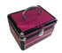 Aluminum Cosmetic Small Carry Cases L220 x W150 x H180mm