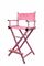 Aluminum Professional Makeup Chair For Salon Light Weight Pink Color